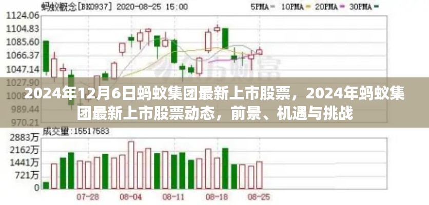 2024年螞蟻集團上市股票動態，前景、機遇與挑戰一覽