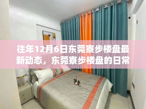 東莞寮步樓盤最新動(dòng)態(tài)與日常故事，探盤之旅的溫馨與友情深度鏈接