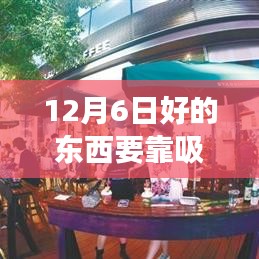探秘巷陌之寶，遇見小巷深處的特色小店，12月6日的美好邂逅