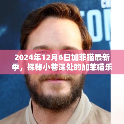2024年12月6日加菲貓最新季，探秘小巷深處的加菲貓樂園，2024年12月6日全新加菲貓季節(jié)來襲！