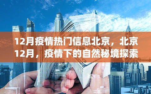 北京12月疫情下的自然探索之旅，秘境中的內(nèi)心寧靜與力量尋找記