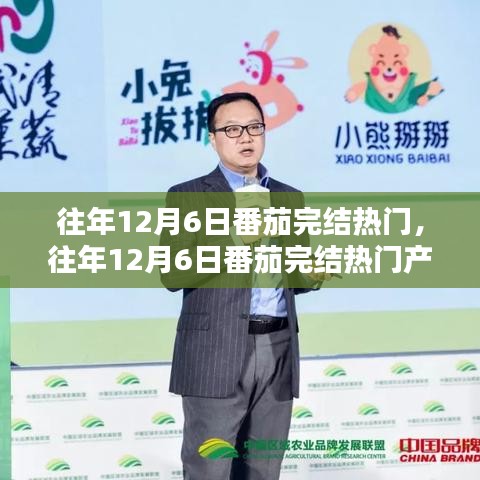 往年12月6日番茄完結熱門產品深度解析，特性、體驗、競品對比及用戶群體全方位分析評測