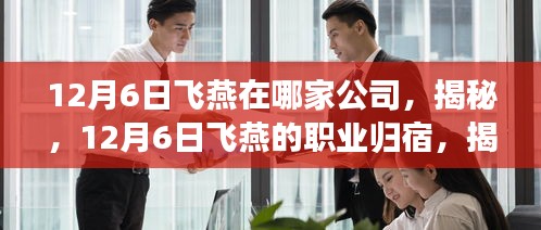 揭秘飛燕的職業歸宿，揭秘飛燕所在公司的秘密（12月6日更新）