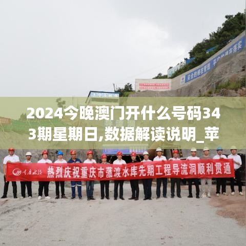 2024今晚澳門開什么號碼343期星期日,數據解讀說明_蘋果版4.120