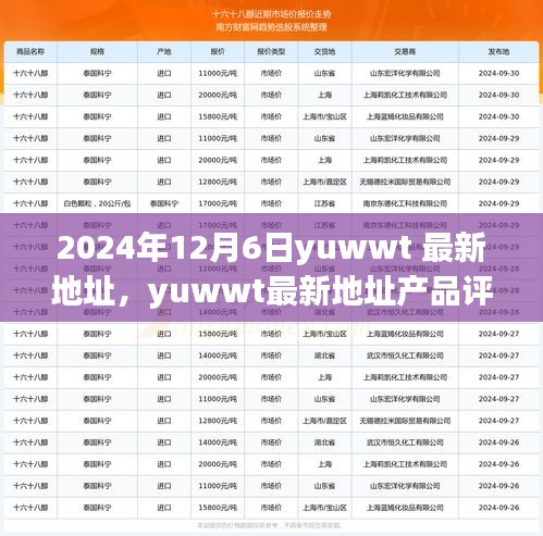 深度解析，yuwwt最新地址產品體驗、對比與用戶需求洞察報告
