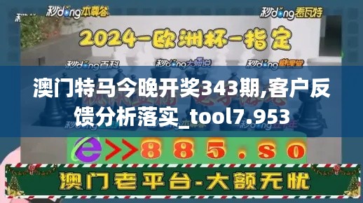 澳門特馬今晚開獎343期,客戶反饋分析落實_tool7.953