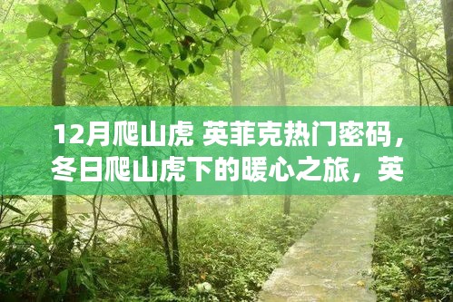英菲克密碼下的暖心之旅，冬日爬山虎下的溫情故事