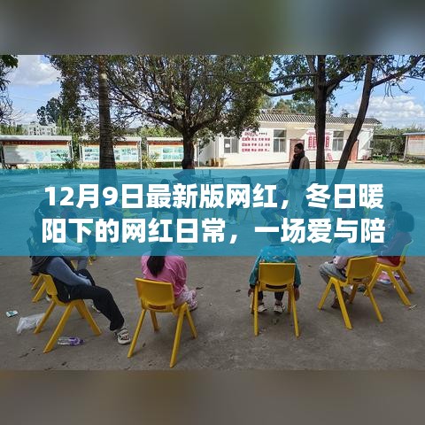 冬日暖陽下的網紅日常，愛與陪伴的溫馨故事新篇章