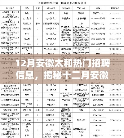 揭秘十二月安徽太和熱門招聘信息，職場人的新選擇