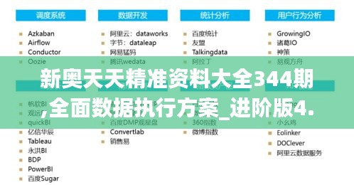 新奧天天精準資料大全344期,全面數據執行方案_進階版4.317
