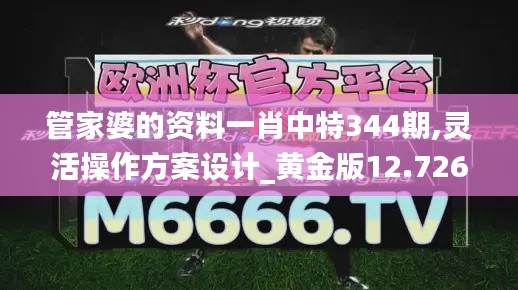 管家婆的資料一肖中特344期,靈活操作方案設計_黃金版12.726