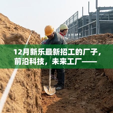 12月新樂最新招工的科技前沿工廠，深度解析高科技產品與未來工廠展望