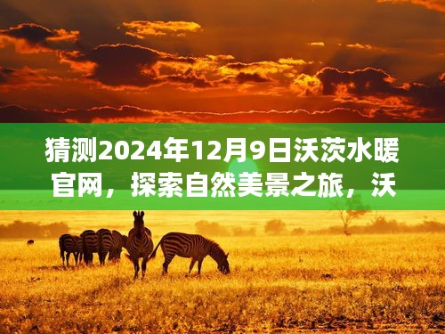沃茨水暖官網(wǎng)，啟程探索自然美景之旅，探尋內(nèi)心的寧?kù)o平和的未來(lái)之旅（2024年12月9日）