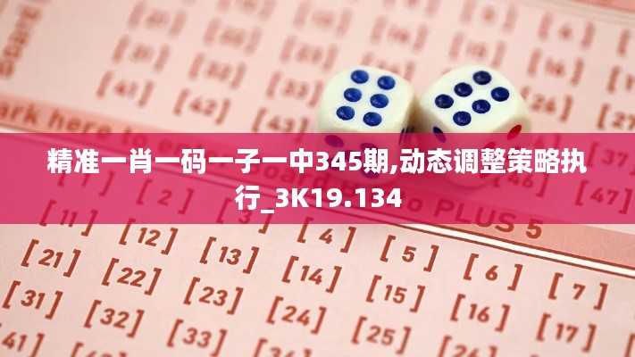 精準一肖一碼一子一中345期,動態調整策略執行_3K19.134