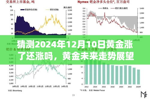 聚焦未來黃金走勢，2024年黃金價格預測及黃金走勢展望