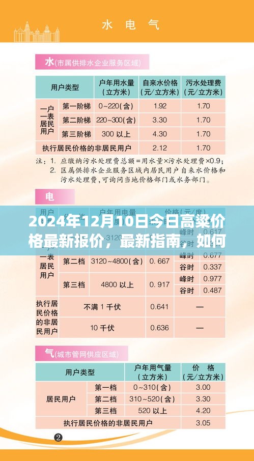 2024年12月10日高粱價格最新動態及解讀指南