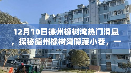 德州橡樹灣隱藏小巷的特色小店揭秘，獨家熱門資訊！