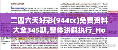 二四六天好彩(944cc)免費資料大全345期,整體講解執行_Holo7.169