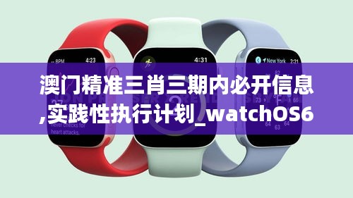 澳門精準三肖三期內必開信息,實踐性執行計劃_watchOS6.396