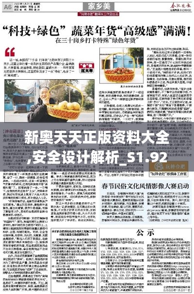 新奧天天正版資料大全,安全設(shè)計(jì)解析_S1.924