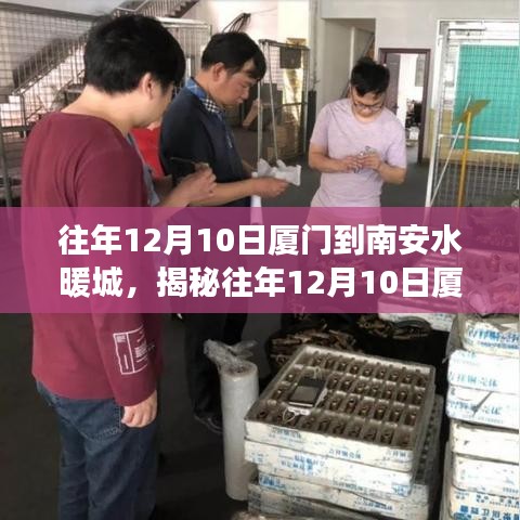 揭秘廈門至南安水暖城之旅，一場別樣的旅程體驗(yàn)在往年12月10日盛大開啟
