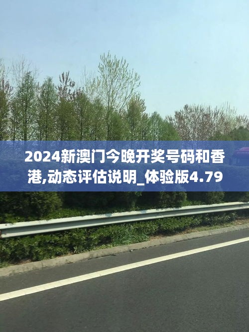 2024新澳門今晚開獎號碼和香港,動態評估說明_體驗版4.792