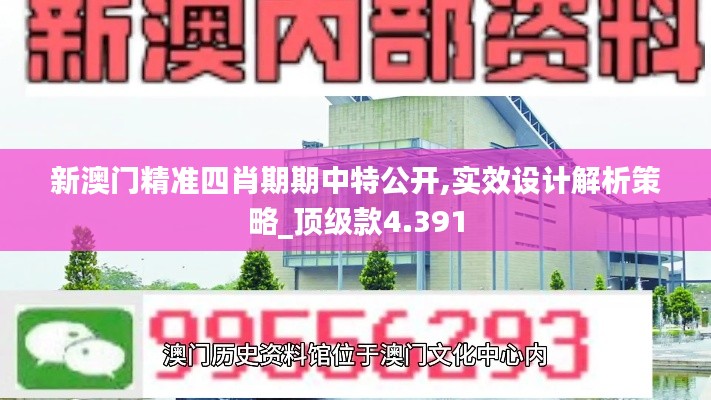 新澳門(mén)精準(zhǔn)四肖期期中特公開(kāi),實(shí)效設(shè)計(jì)解析策略_頂級(jí)款4.391