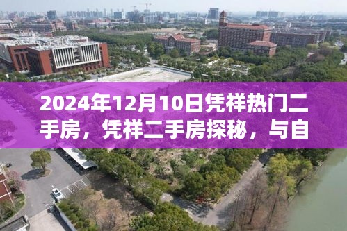 憑祥熱門二手房探秘，與自然美景的邂逅，尋找寧靜家園
