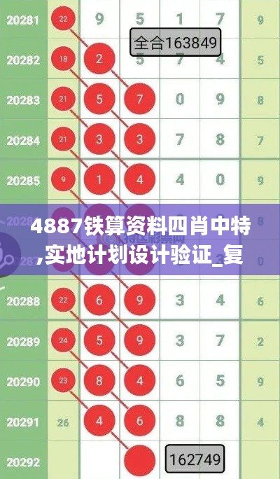 4887鐵算資料四肖中特,實地計劃設計驗證_復刻款4.721