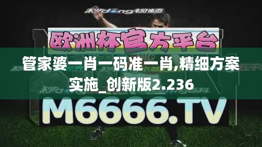 管家婆一肖一碼準(zhǔn)一肖,精細(xì)方案實(shí)施_創(chuàng)新版2.236