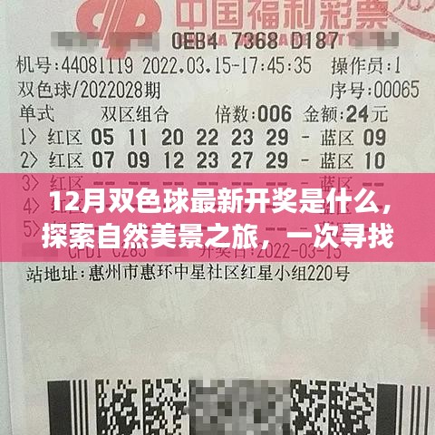 揭秘十二月雙色球開獎秘密，探尋自然美景之旅與內心平靜的旅程