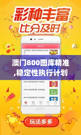 澳門800圖庫精準,穩定性執行計劃_Windows14.270