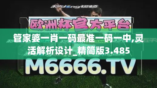管家婆一肖一碼最準一碼一中,靈活解析設計_精簡版3.485