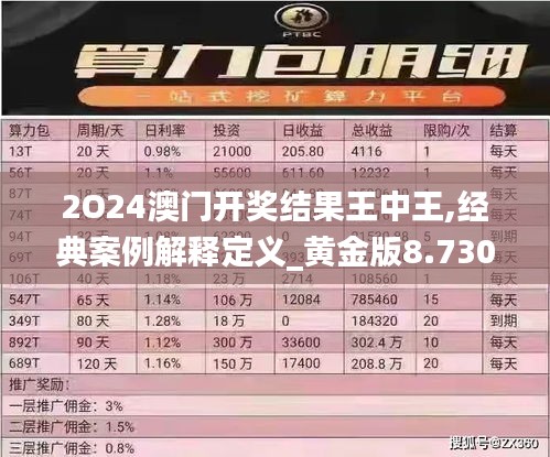 2O24澳門開獎結果王中王,經典案例解釋定義_黃金版8.730