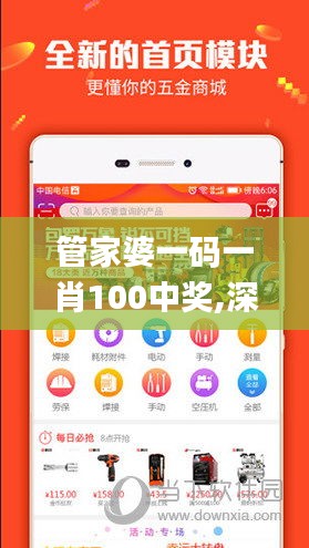 管家婆一碼一肖100中獎,深入執行數據策略_蘋果版6.218