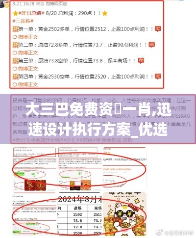 大三巴免費資枓一肖,迅速設計執行方案_優選版4.296