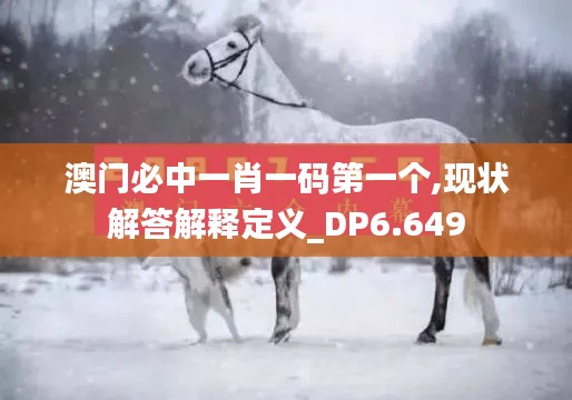 澳門必中一肖一碼第一個,現狀解答解釋定義_DP6.649