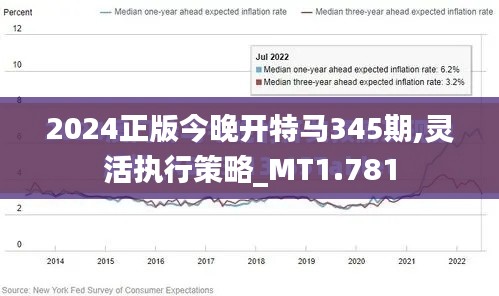 2024正版今晚開特馬345期,靈活執行策略_MT1.781