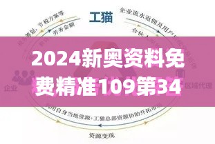 2024新奧資料免費精準109第346期,全面理解計劃_完整版7.377