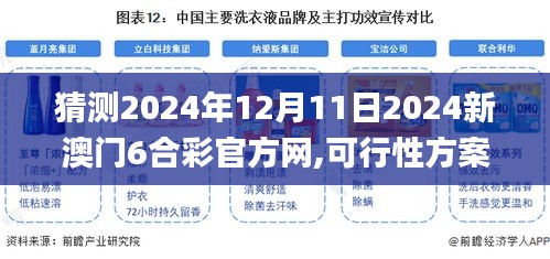 猜測2024年12月11日2024新澳門6合彩官方網,可行性方案評估_手游版8.257
