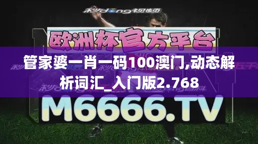 管家婆一肖一碼100澳門,動態解析詞匯_入門版2.768