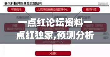 一點紅論壇資料一點紅獨家,預測分析解釋定義_U4.252