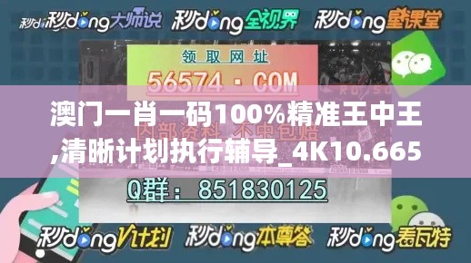 澳門一肖一碼100%精準王中王,清晰計劃執行輔導_4K10.665