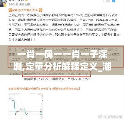 一肖一碼一一肖一子深圳,定量分析解釋定義_潮流版10.432