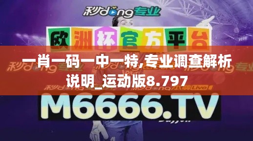 一肖一碼一中一特,專業調查解析說明_運動版8.797