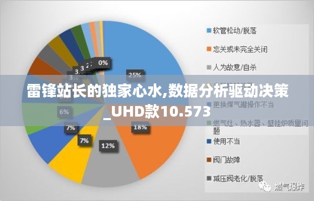 雷鋒站長的獨家心水,數據分析驅動決策_UHD款10.573