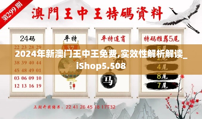 2024年新澳門王中王免費(fèi),實(shí)效性解析解讀_iShop5.508