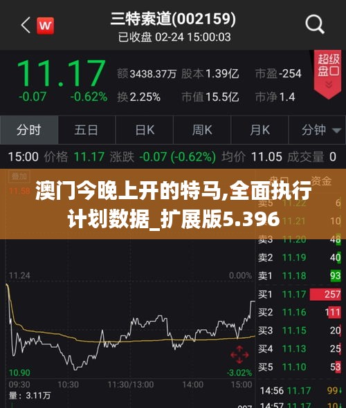 澳門今晚上開的特馬,全面執行計劃數據_擴展版5.396