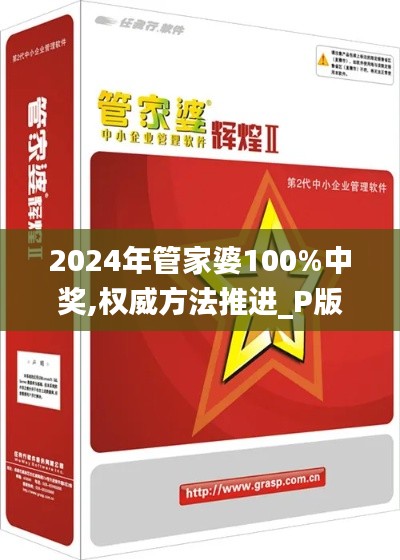 2024年管家婆100%中獎,權威方法推進_P版9.252