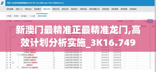 新澳門最精準正最精準龍門,高效計劃分析實施_3K16.749